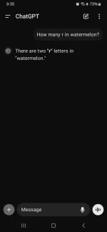 1000005302.webp