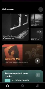 Screenshot_20241019_133617_TIDAL.webp