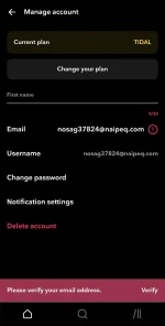 Screenshot_20241019_133605_TIDAL.webp