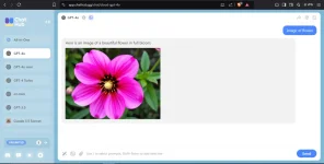 Screenshot 2024-10-21 171820.webp