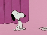 200.gif