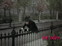 200.gif