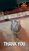 200.gif