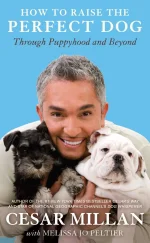 Cesar Millan Jacket Image.jpg Cesar Millan Jacket Image.jpg