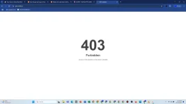 Screenshot 2024-10-24 111836.webp