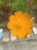 1000022200.webp