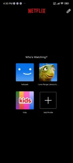 Screenshot_2024-10-28-16-30-15-015_com.netflix.mediaclient.webp