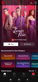 Screenshot_2024-10-28-16-44-47-175_com.netflix.mediaclient-edit.webp