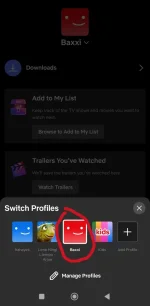Screenshot_2024-10-28-16-55-01-957_com.netflix.mediaclient-edit.webp