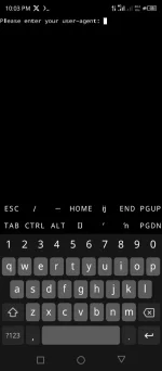 Screenshot_20241028-220340.webp