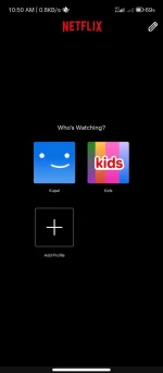 Screenshot_2024-10-29-10-50-49-519_com.netflix.mediaclient.webp