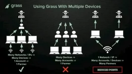 grass guide.jpg grass guide.jpg
