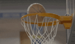200.gif