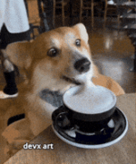 200.gif