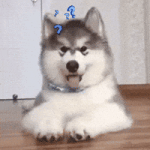 200.gif