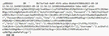1000031331.webp 1000031331.webp