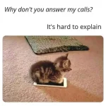 FB_IMG_1730613598595.webp