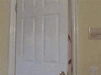 200.gif