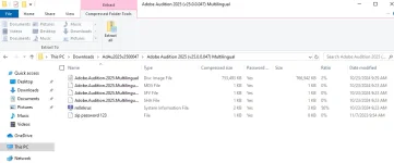 Captureauditionzip.webp Captureauditionzip.webp