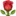 1f339.webp