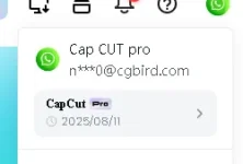 1731167794995.webp 1731167794995.webp