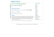5.webp