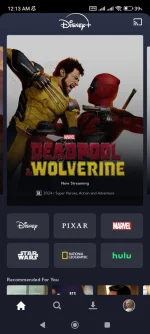 Screenshot_2024-11-13-00-13-36-232_com.disney.disneyplus.webp