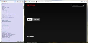 test netflix.png