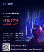 1731567527309.webp 1731567527309.webp