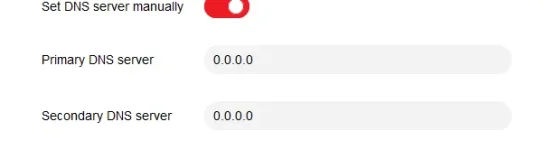 dns.webp