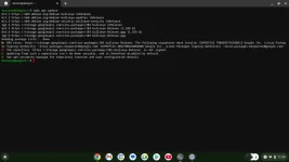 Screenshot 2024-11-19 11.55.27.webp