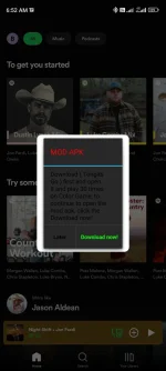 Screenshot_2024-11-20-06-52-41-823_com.spotify.music.webp
