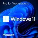 Microsoft_Windows_11_Pro_for_Workstations_1_licencia_s___Software@@1786182.webp Microsoft_Windows_11_Pro_for_Workstations_1_licencia_s___Software@@1786182.webp