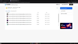 1732297343019.webp 1732297343019.webp