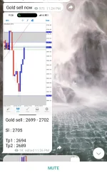 Screenshot_2024-11-23-19-21-45-923_org.telegram.messenger-edit.webp