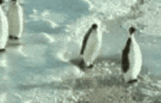 200.gif 200.gif