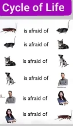 FB_IMG_1732439522673.webp