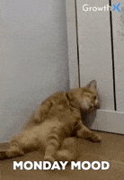 200.gif