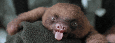 200.gif 200.gif