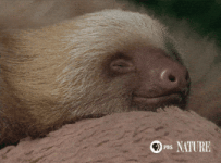 200.gif 200.gif