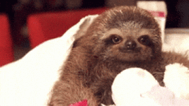 200.gif 200.gif