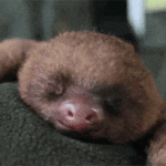 200.gif 200.gif