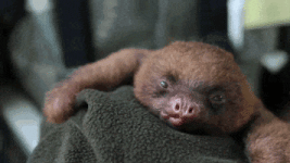 200.gif 200.gif