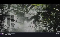 Screenshot_20241125-152742.webp