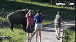 200.gif 200.gif