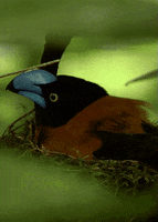 200.gif 200.gif