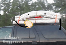 200.gif 200.gif