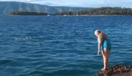 200.gif