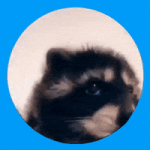 200.gif 200.gif