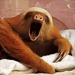 200.gif 200.gif